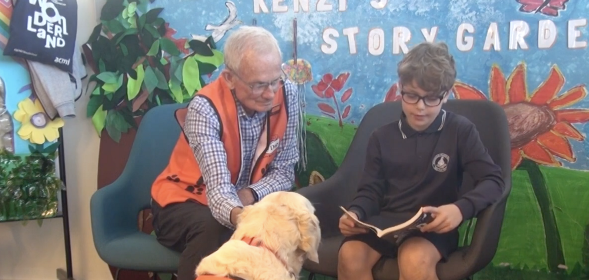 Діти стають упевненими та вчаться читати вголос: початкові школи Австралії взяли 'на роботу' собак. Відео