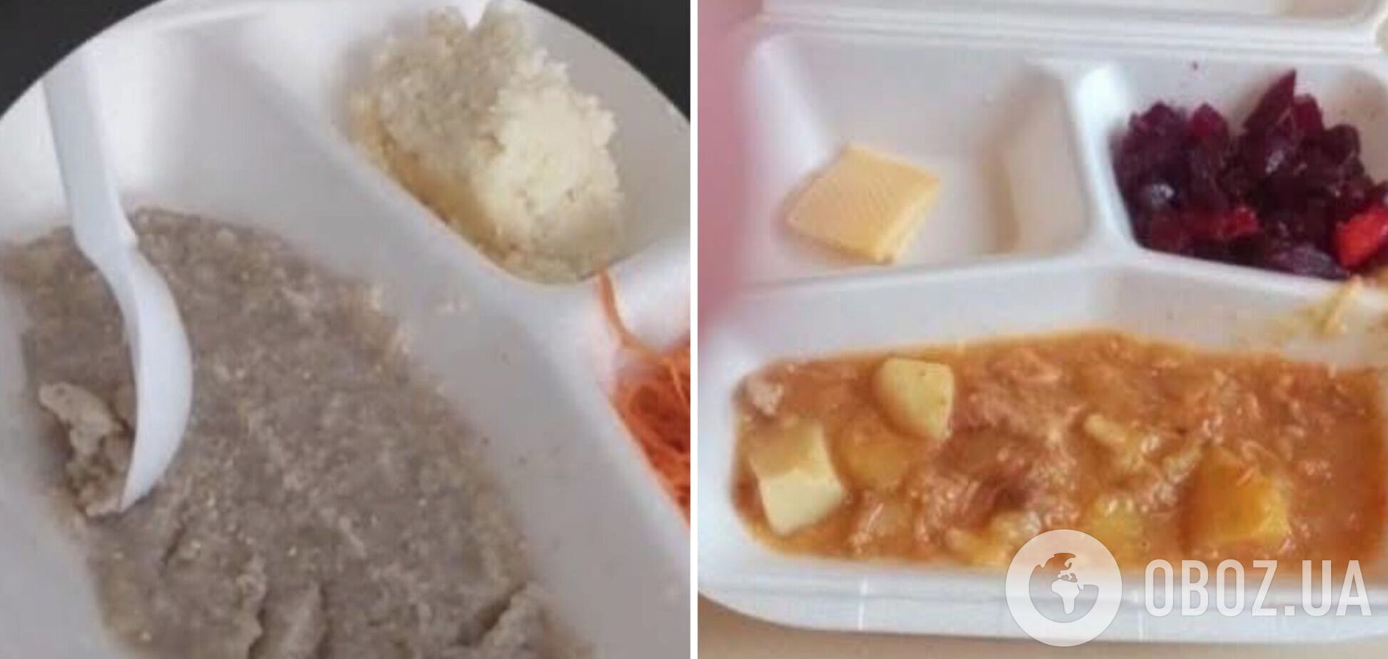 'Что это такое? Как его переварить?' Украинцев возмутили фото школьных обедов в Черкасской области: как отреагировала директор и что говорят нормы питания