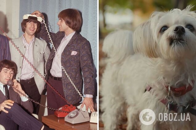 Цей хіт 1966 знову став популярним: у ньому є один секрет, який змушує пісню 'застрягнути' в голові