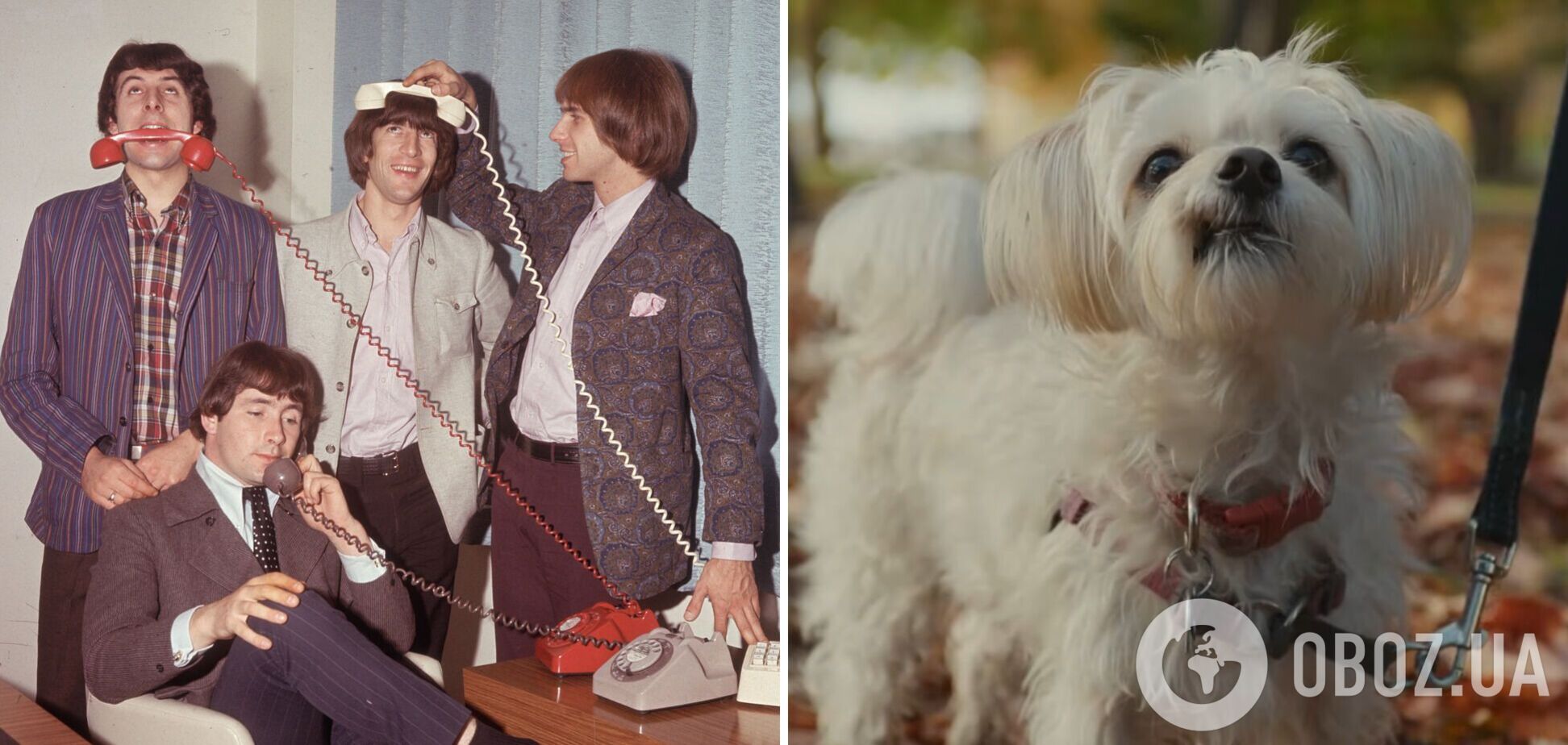 Этот хит 1966 года снова стал популярным: в нем есть один секрет, который заставляет песню 'застрять' в голове