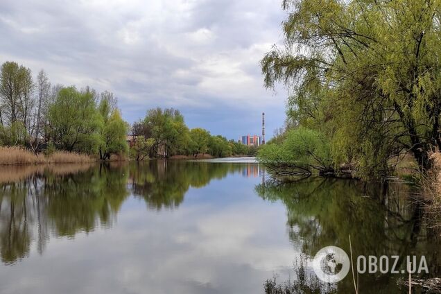 Без опадів та до +12°С: прогноз погоди по Київщині на 24 квітня