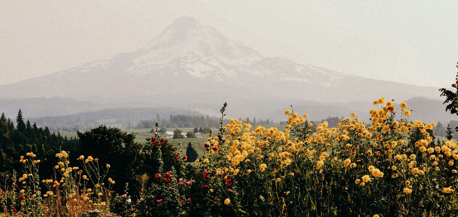 Найкращі місця світу для квіткового туризму: топ 5