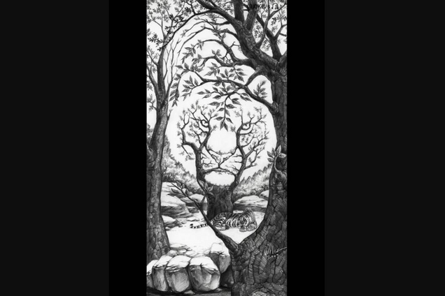 Что увидели первым? Тест покажет вашу личность