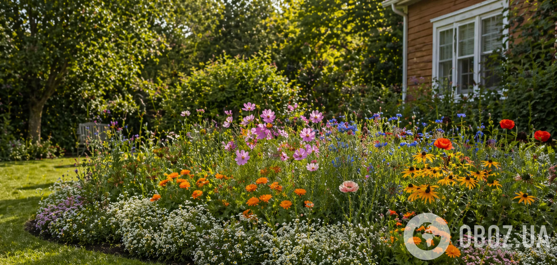 Не потребують багато зусиль: які квіти можна сіяти прямо в ґрунт