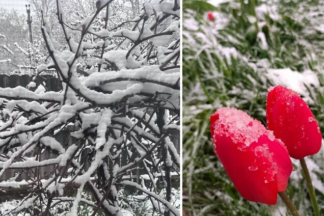 'А зараз точно квітень?' Мережу розбурхали кадри снігу в Україні посеред весни. Фото і відео