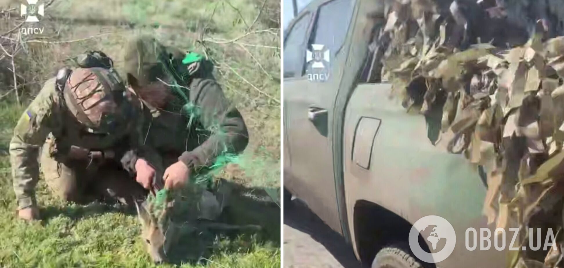 Украинские пограничники спасли косулю, которая запуталась в антидроновой сетке. Видео