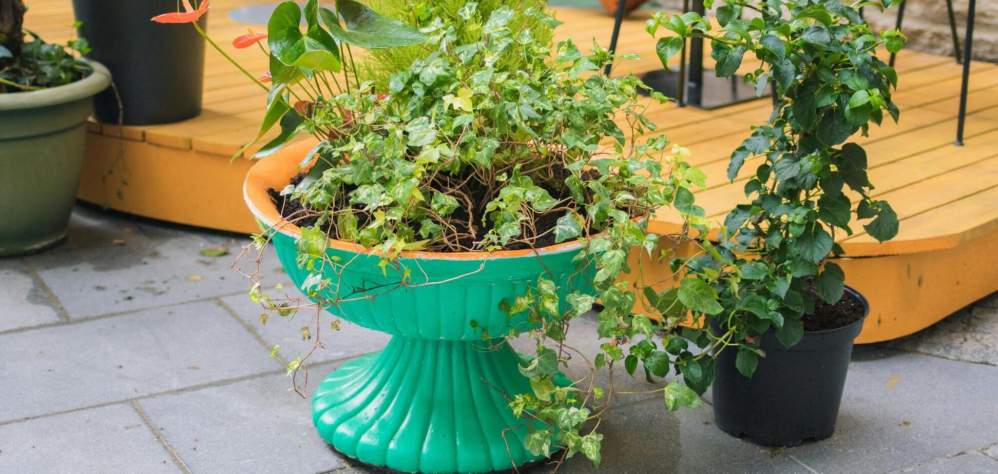 Як за три хвилини знищити бур’яни без хімікатів: ідеальний засіб для садівників