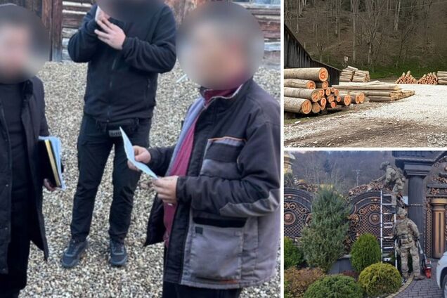 На Буковине разоблачили теневой экспорт леса в Молдову