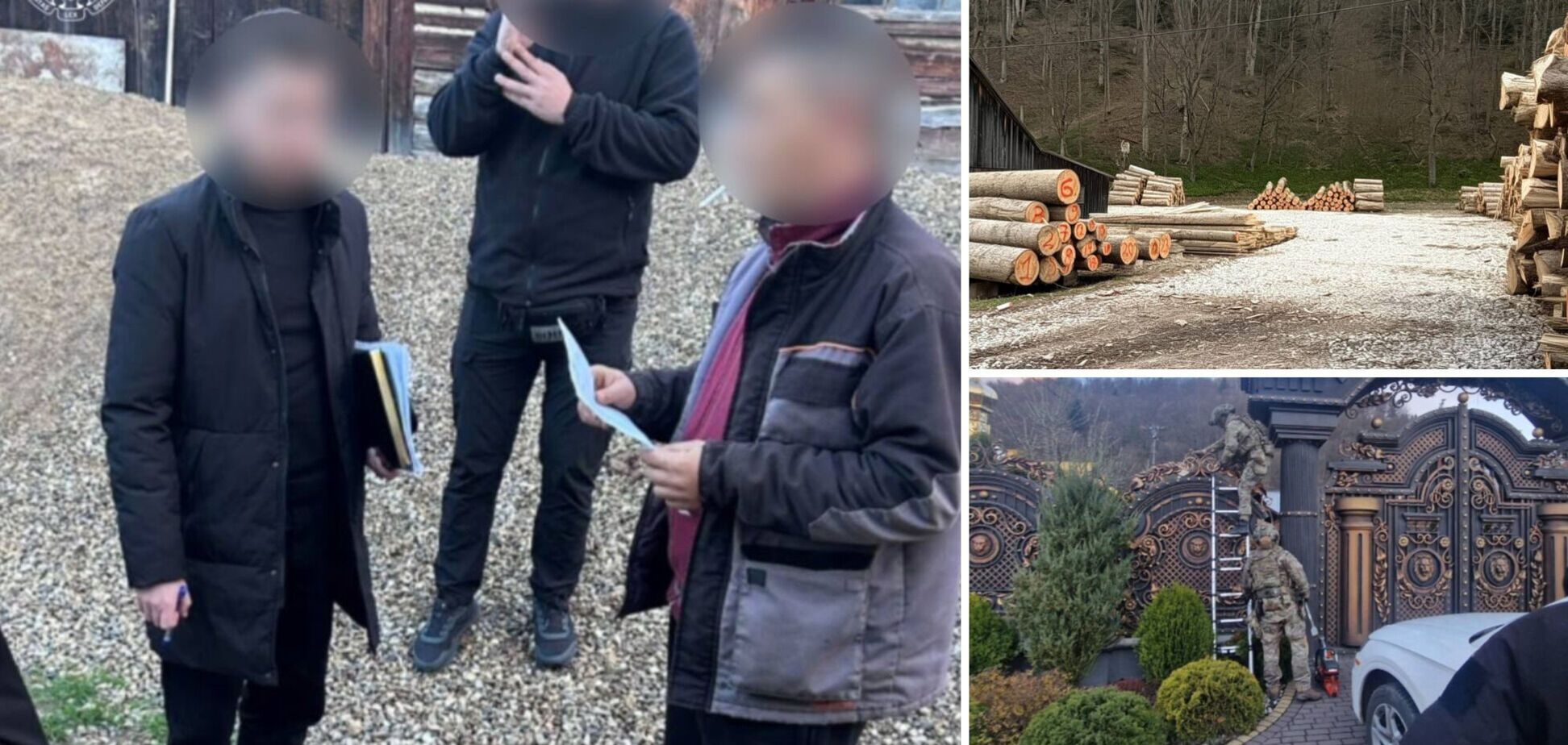 На Буковині викрили тіньовий експорт лісу до Молдови