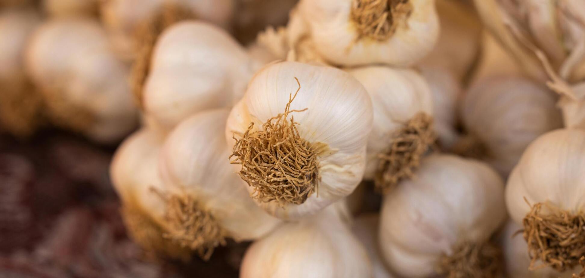 Лучший способ хранения чеснока: остается твердым и не теряет витаминов