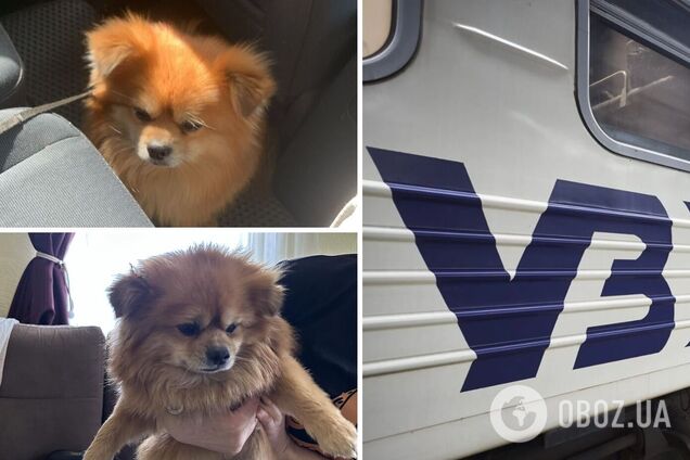 Сказали, что поезд будет стоять 10 минут, а отправились раньше: 'УЗ' попала в новый скандал – мужчину с собакой оставили на вокзале. Фото