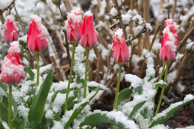 Синоптикиня дала прогноз до кінця тижня в Україні: чи буде потепління