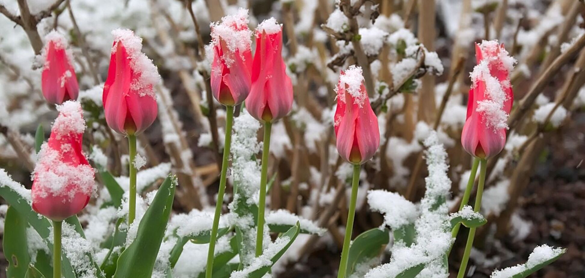 Синоптикиня дала прогноз до кінця тижня в Україні: чи буде потепління
