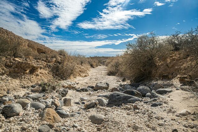 У світі може різко змінитися клімат: вчені попередили про серйозне явище