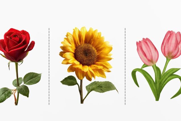 Выберите цветок: тест покажет, какие вы в отношениях