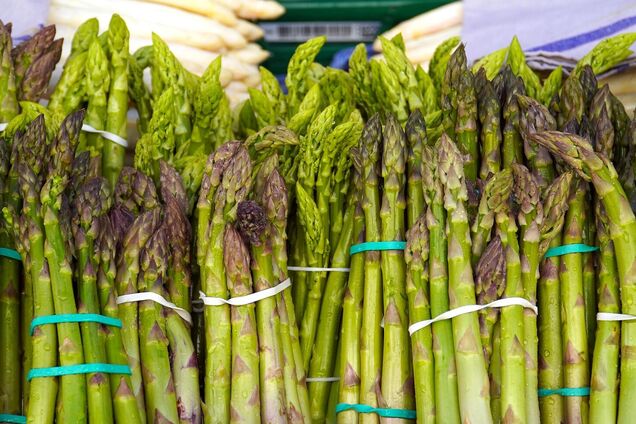 Иллюстрация - спаржа