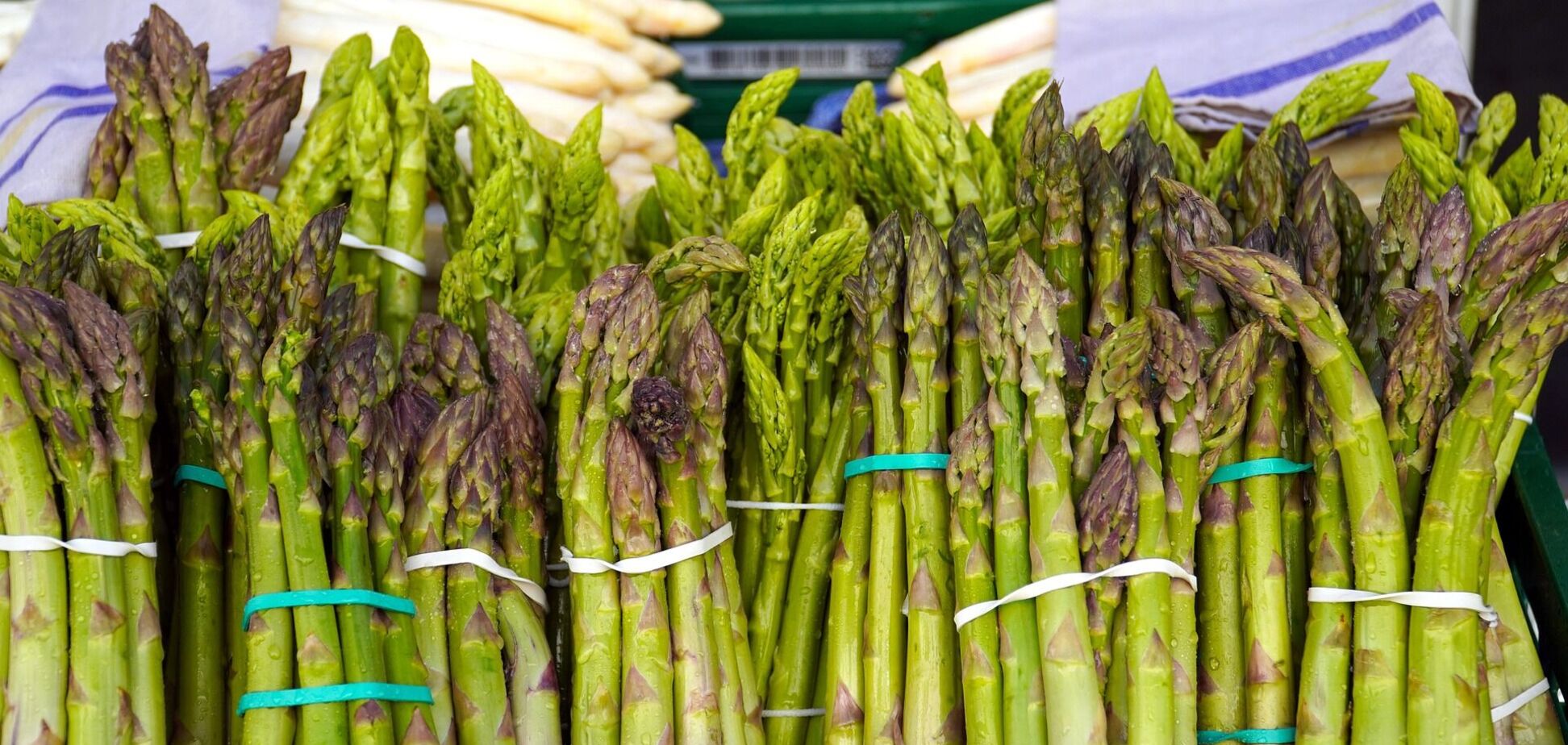 Ілюстрація - спаржа