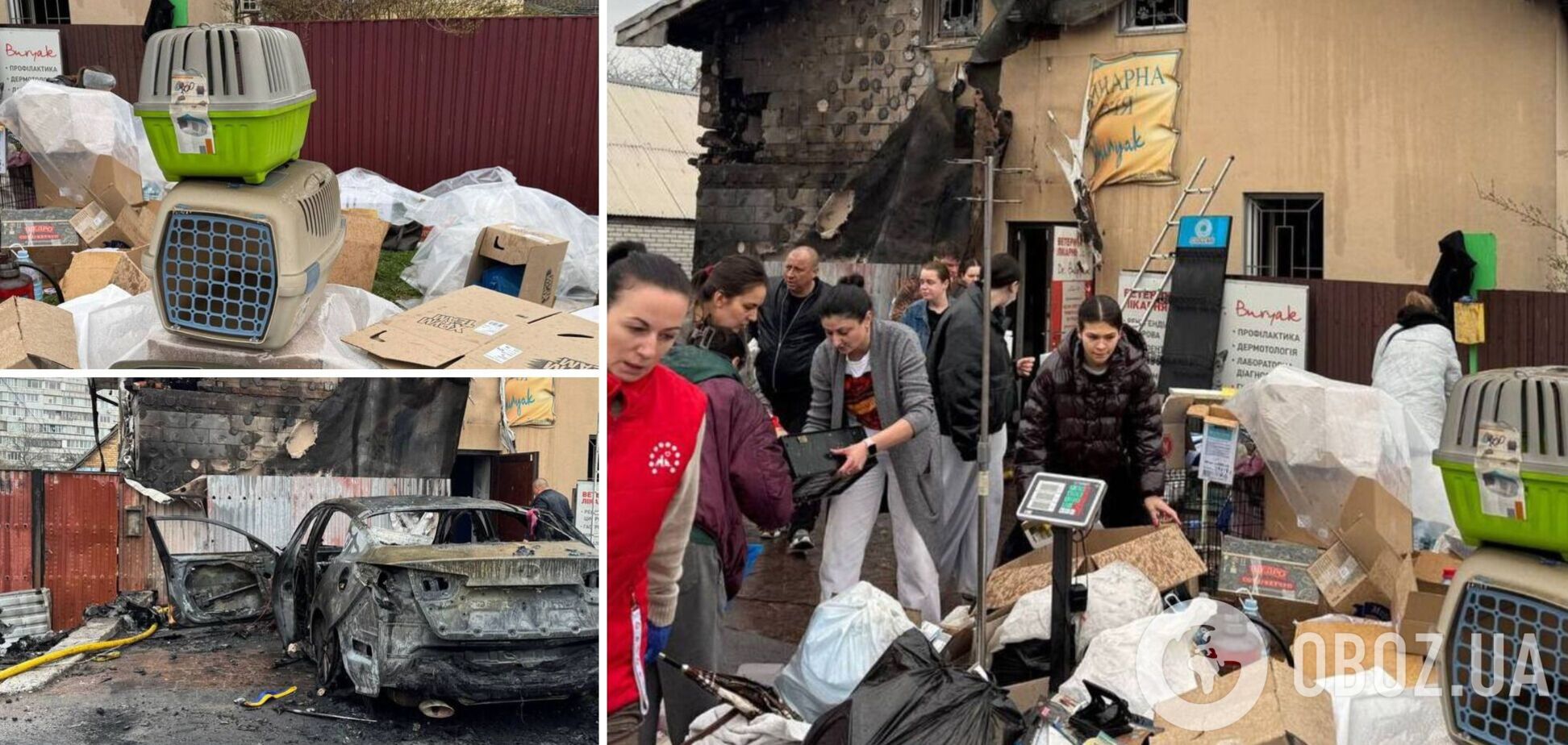 Россия уничтожила ветклинику под Киевом, погибли животные. Все подробности, фото и видео