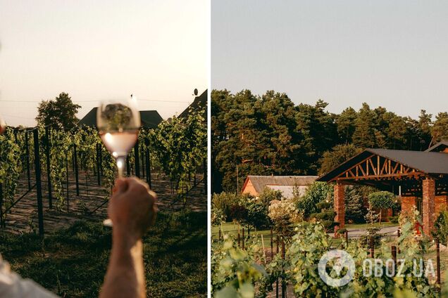 Українське вино взяло золото на міжнародному конкурсі у Франції