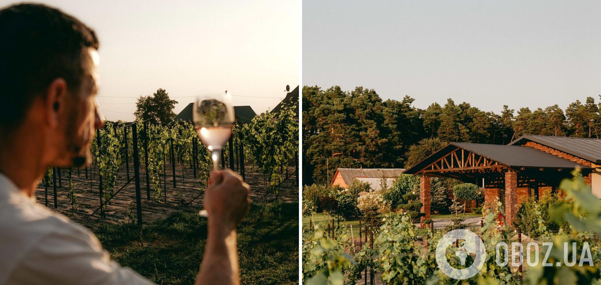 Українське вино взяло золото на міжнародному конкурсі у Франції