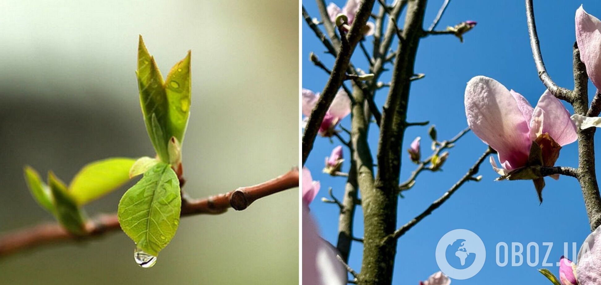 Украину накроет туманом, местами будет дождливо: синоптики дали прогноз погоды на пятницу. Карта