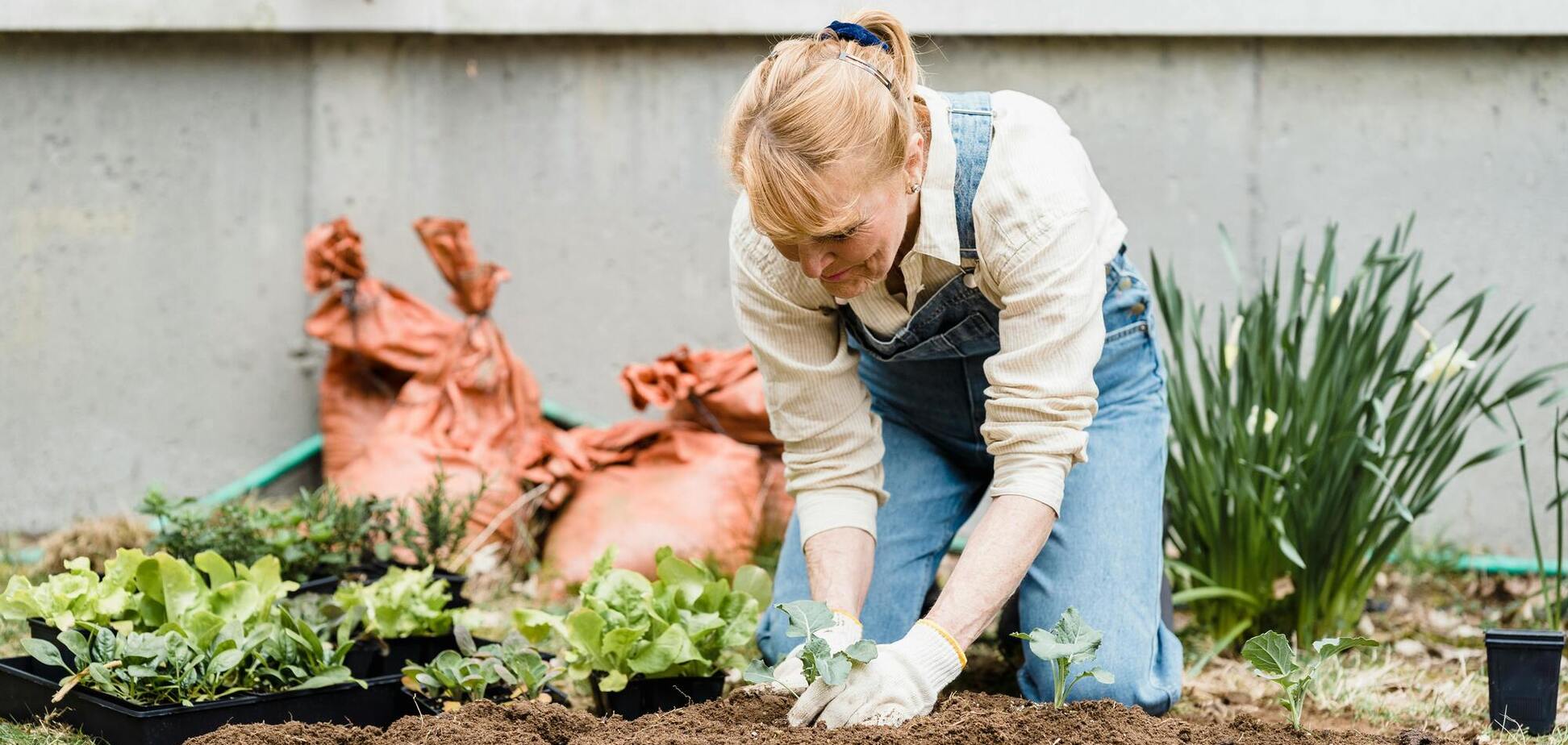 Які овочі спокійно можна садити в квітні: заморозки не страшні