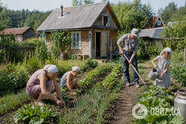 Відпочинок на дачі в СРСР: що там насправді робили фанати городів