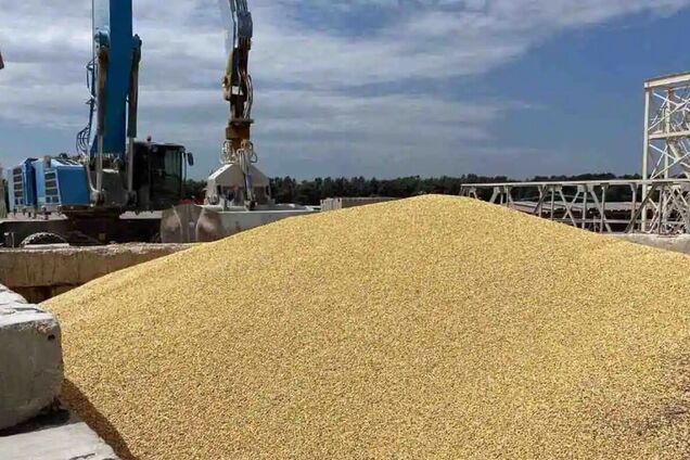 'Наша нация пережила Голодомор': Сибига предупредил 'все структуры и страны' о жесткой реакции на кражи зерна