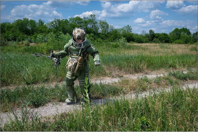 Почти 900 гектаров за месяц: в Минобороны рассказали о результатах разминирования