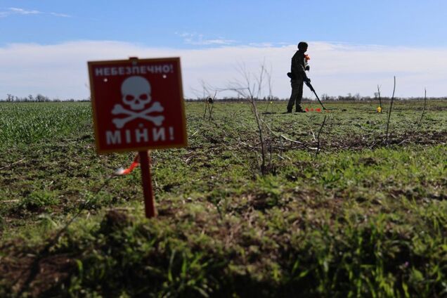 Сколько земель вернули в использование с начала войны: Свириденко обнародовала статистику