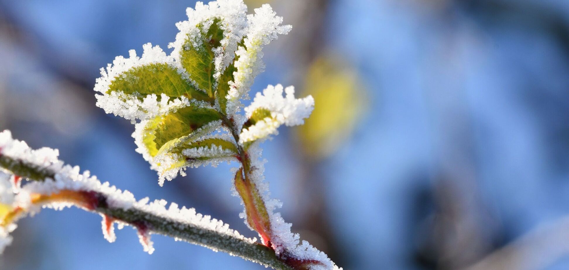 Арктичний холод ввірветься до України: синоптик попередив, коли будуть заморозки і грози