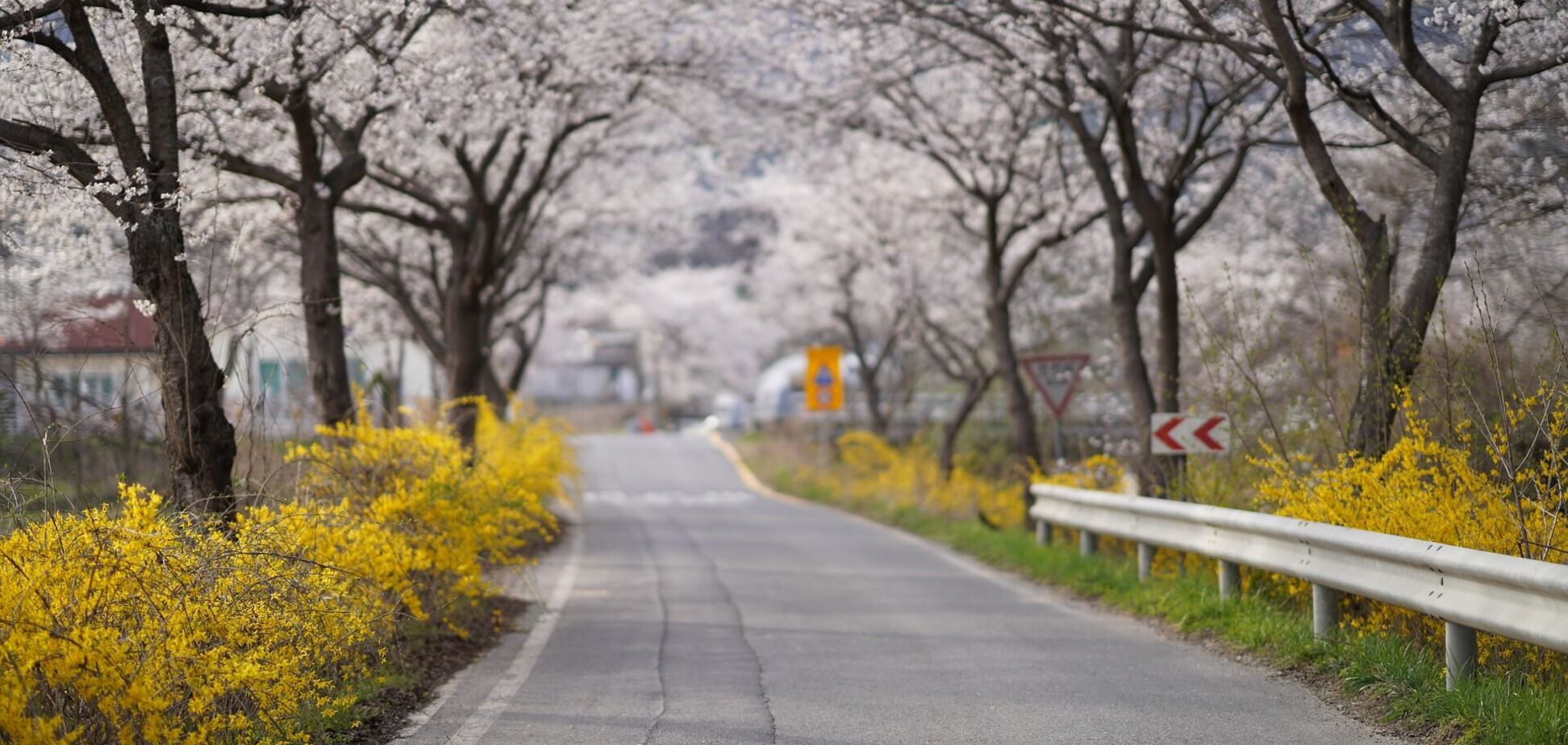 Украину 6 апреля ждут дожди и шторм: прогноз Диденко