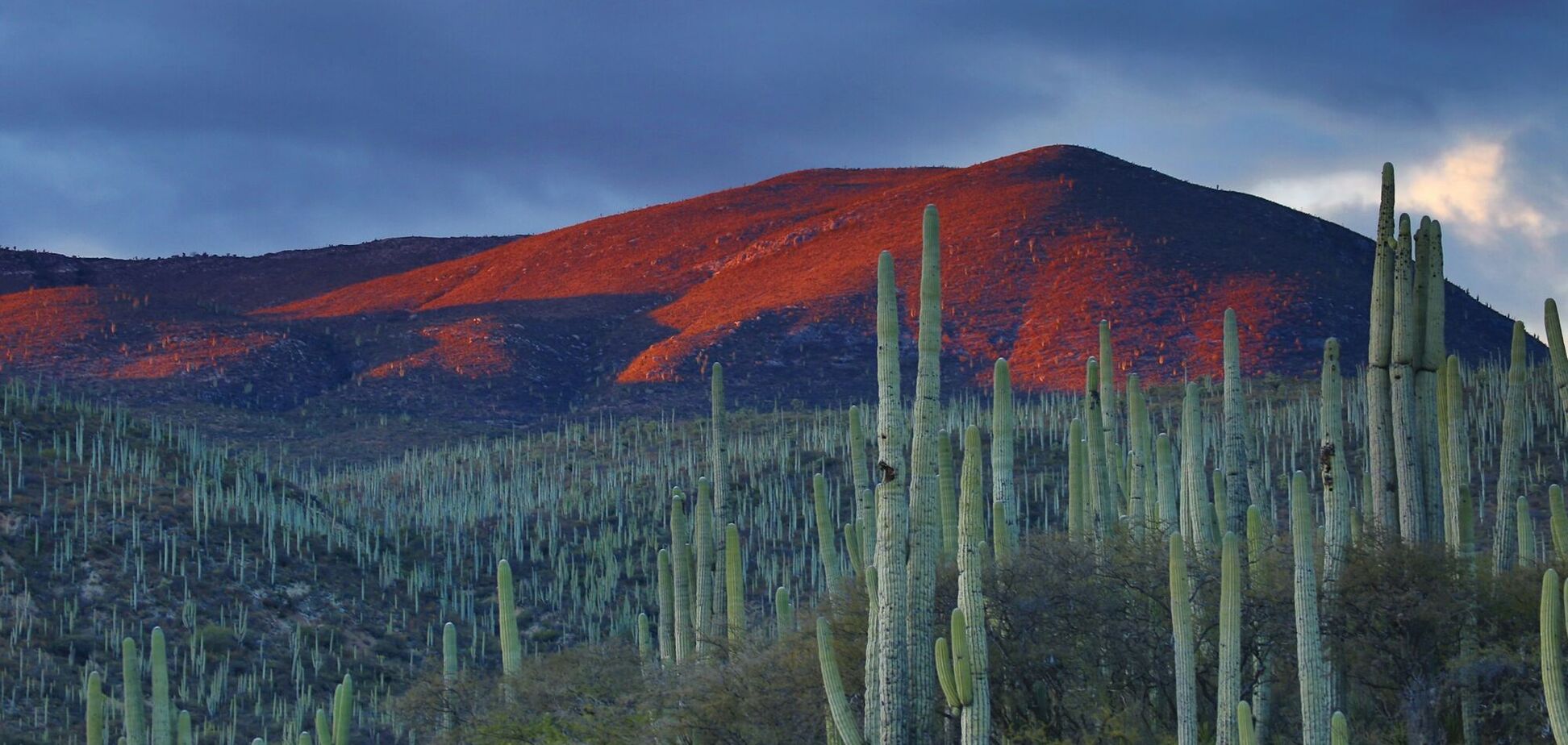 Маловідомі напрямки у Мексиці, які схожі на Європу: топ 3