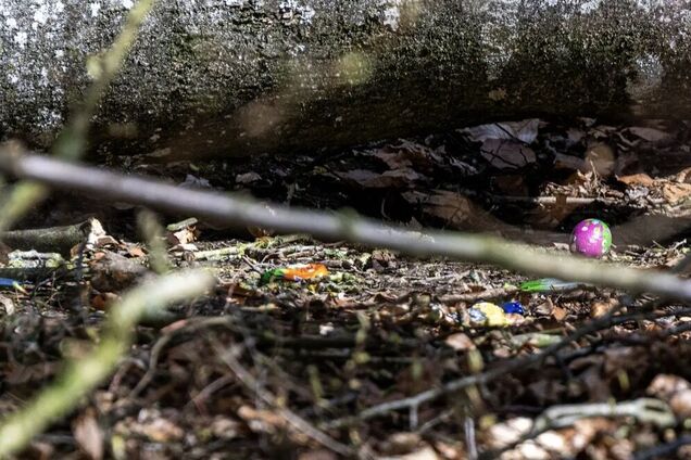 Трагедия на Пасху: в Германии во время игры по поиску яиц на людей упало дерево, среди погибших – младенец