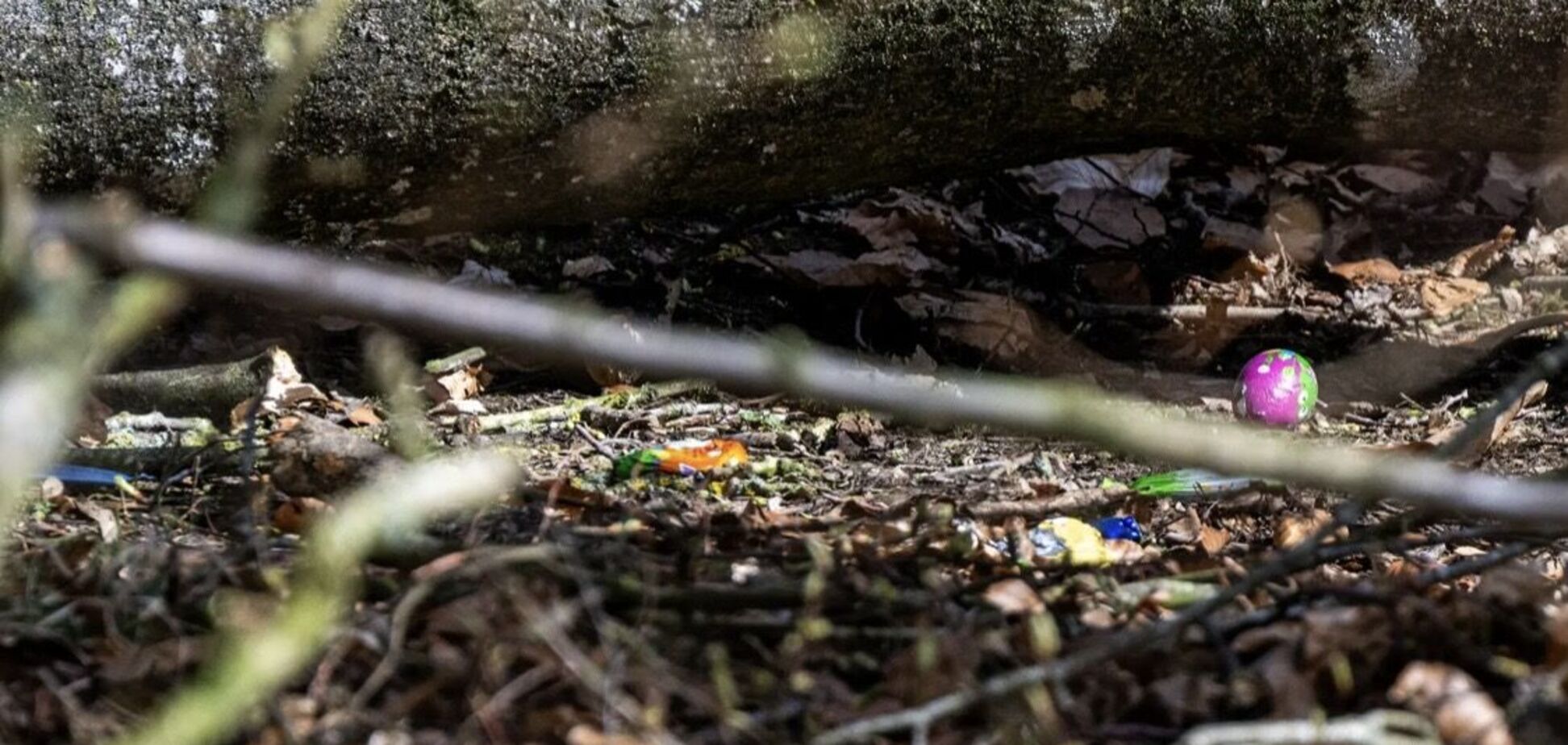 Трагедия на Пасху: в Германии во время игры по поиску яиц на людей упало дерево, среди погибших – младенец