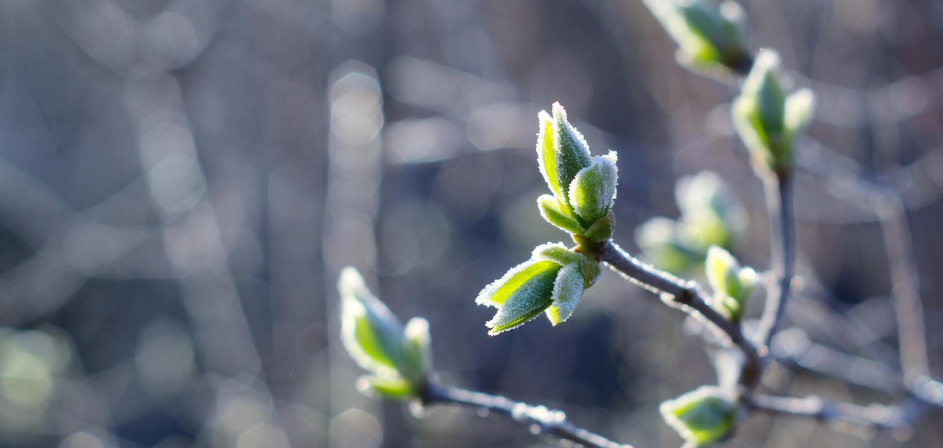 В Україні вдарять заморозки, буде штормовий вітер: синоптики попередили про погіршення погоди
