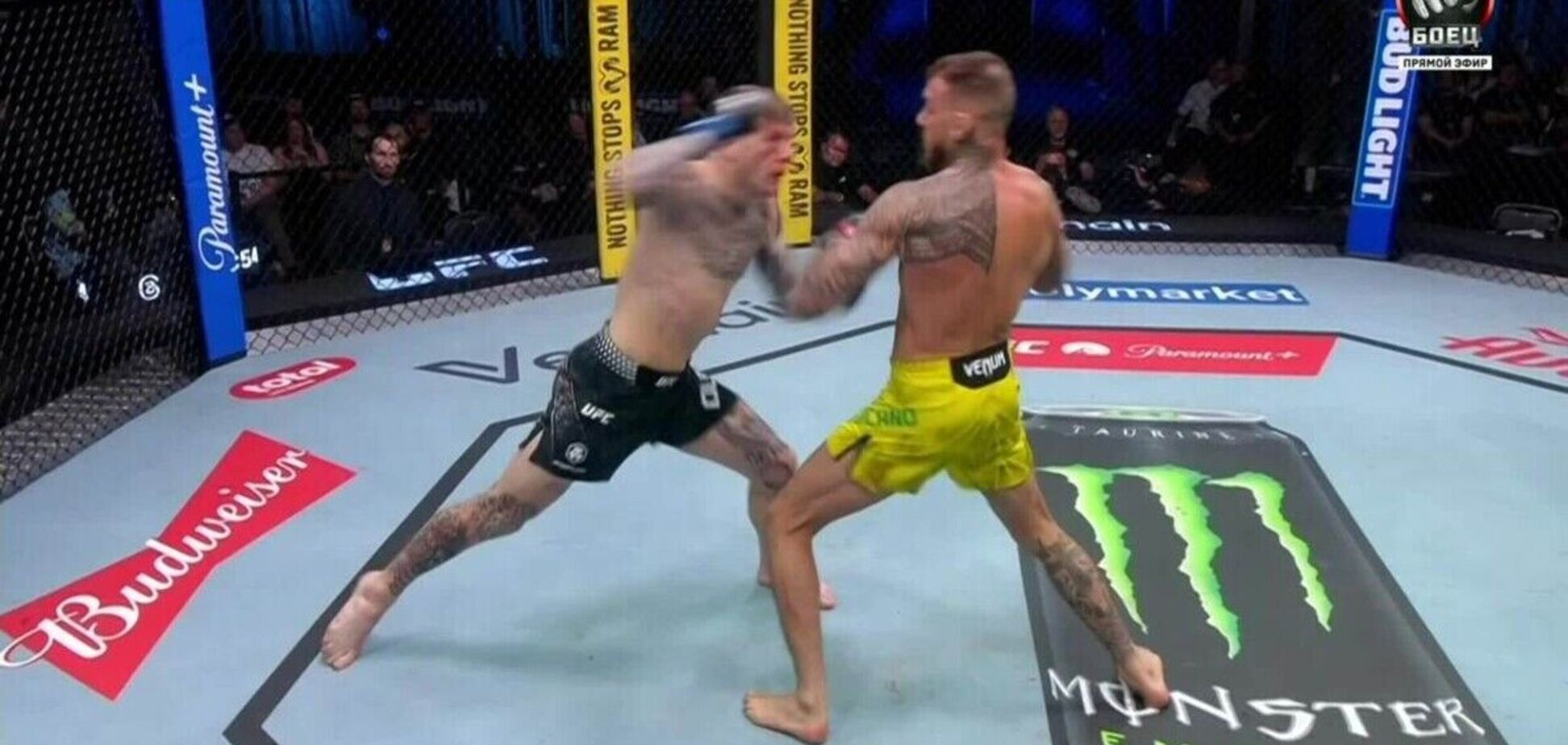 Марчин Тибура против Тайрелла Форчуна