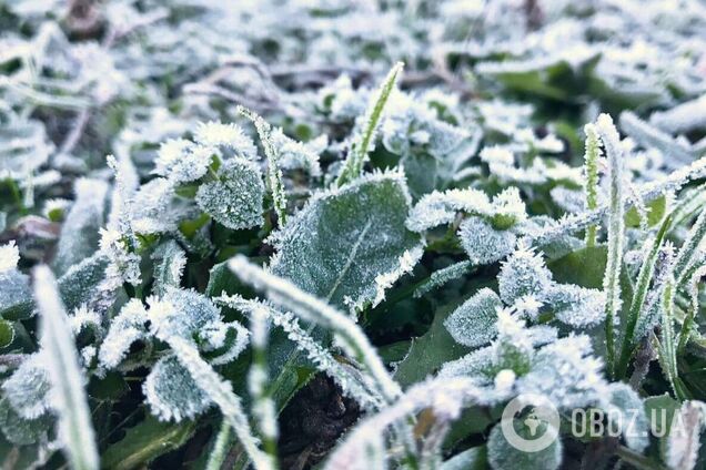 Заморозки повертаються: синоптики попередили про погіршення погоди в Києві та області