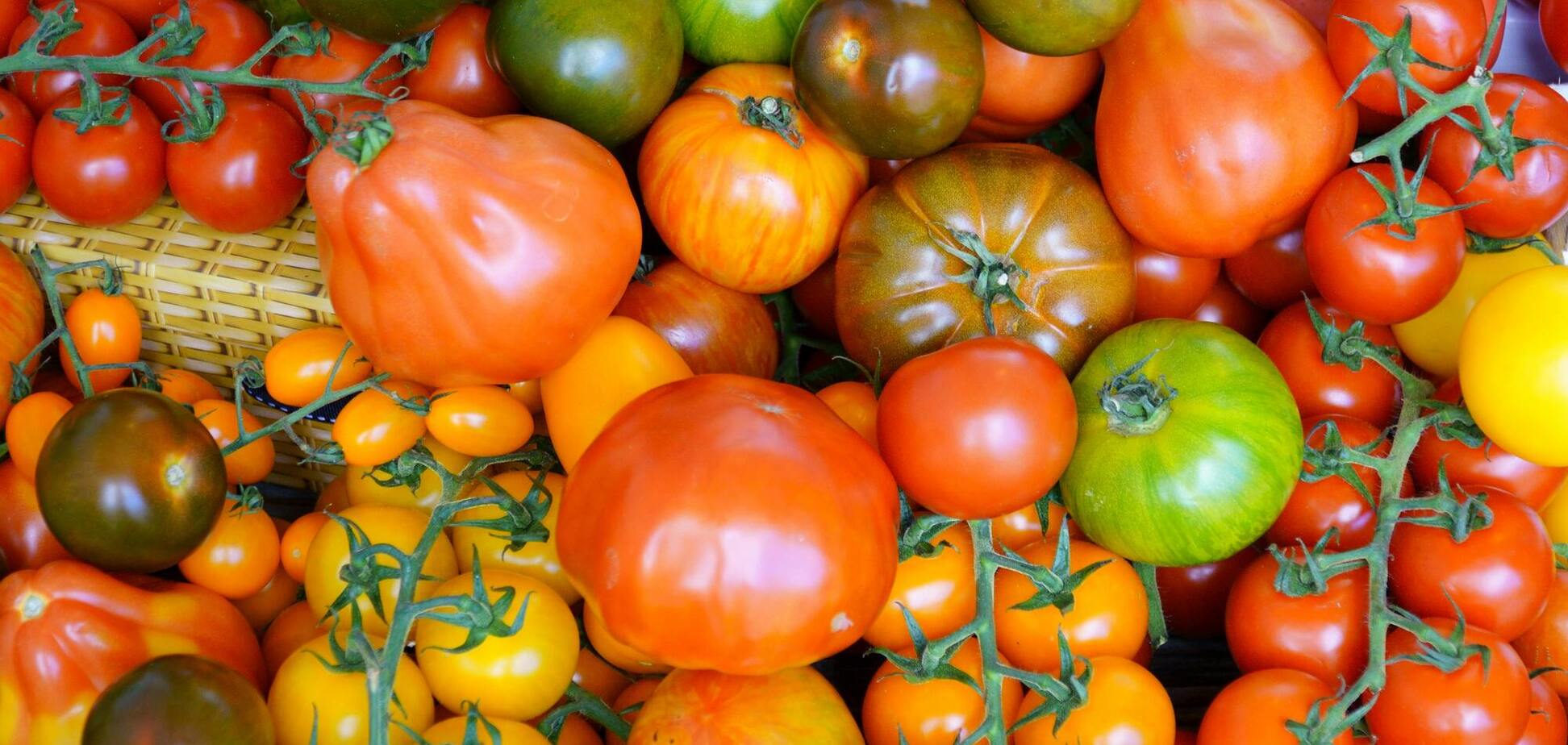 Чим підживити помідори у квітні, щоб вони дали гарний урожай: несподіваний продукт