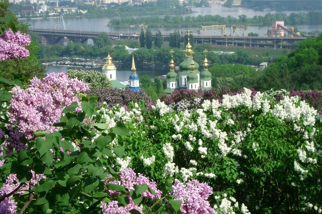 Весняна краса: у мережі показали, як цвіли бузки у ботсаду Гришка в 1970-х роках. Фото