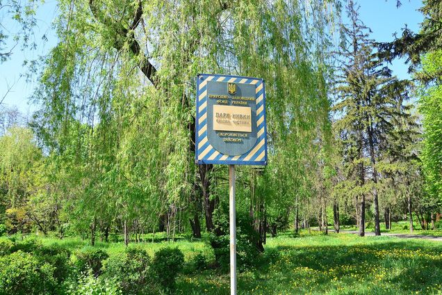 Дело против Оленича может быть политически мотивированным, – Солодко