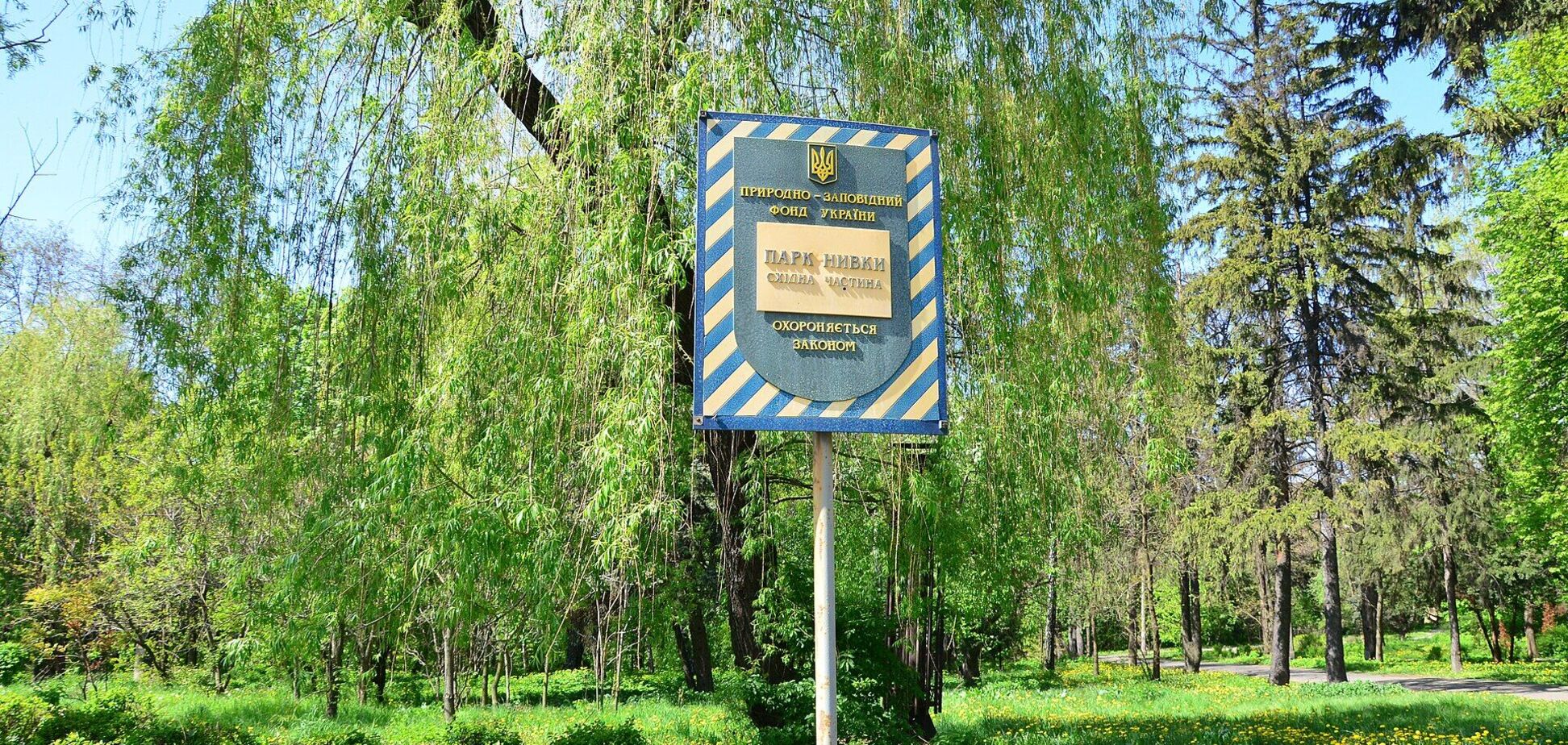 Дело против Оленича может быть политически мотивированным, – Солодко