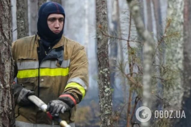 Почти 2250 гектаров украинской земли выгорело в результате пожаров в экосистемах: в каких областях больше всего