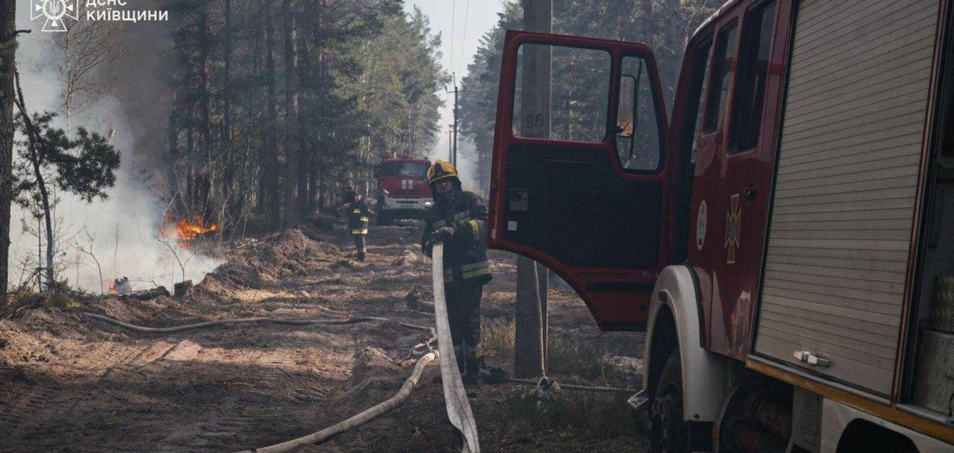 Пожар в Зоне отчуждения: в госинспекции объяснили, что происходит с радиацией и есть ли опасность