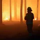 Один з найсильніших Ель-Ніньо в історії: вчені попередили про можливу найбільшу кліматичну катастрофу за 150 років