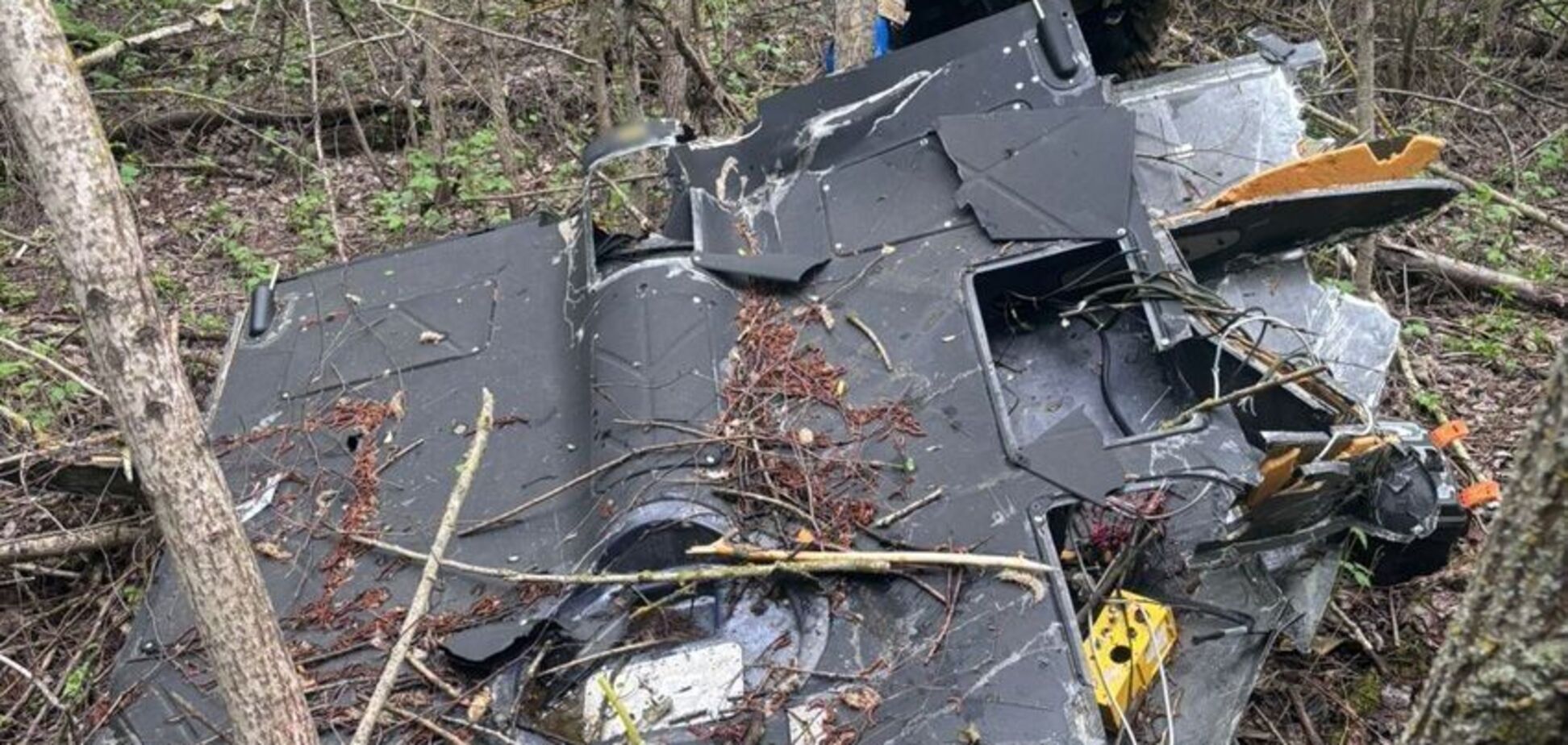 На Чернігівщині знешкодили бойову частину ворожого безпілотника. Фото