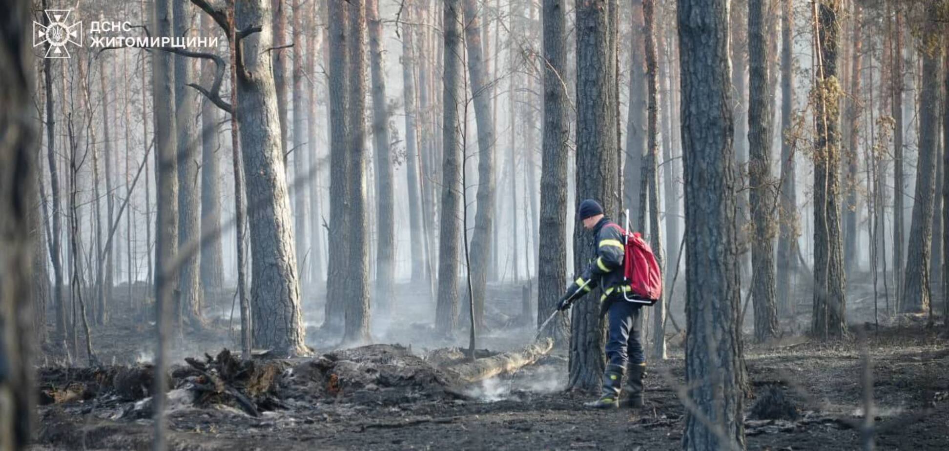 Боролись с огненной стихией 12 дней: спасатели ликвидировали пожар в Полесском заповеднике на Житомирщине. Фото