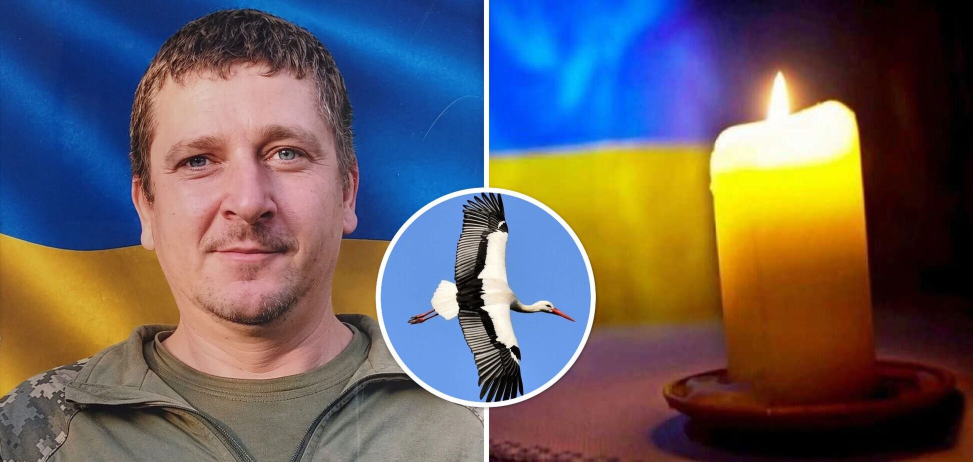 Зворушливо до сліз: на Волині лелека прилетів на похорон Героя. Відео