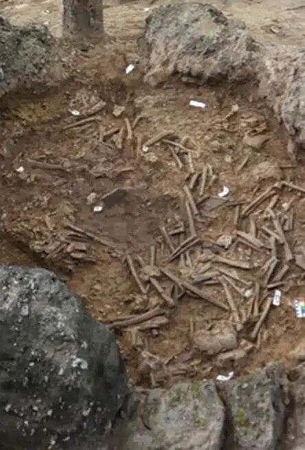 В Азии археологи нашли каменный кувшин с костями 37 человек: его история поражает