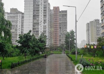 Дожди и до +18°С: прогноз погоды по Киевской области на 29 мая